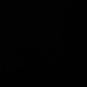 Meet your Posher, Perla